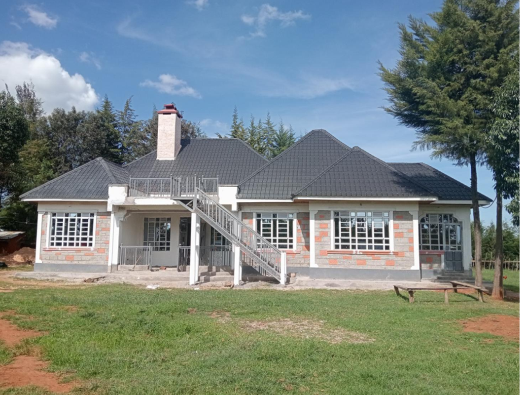 Project Image 1